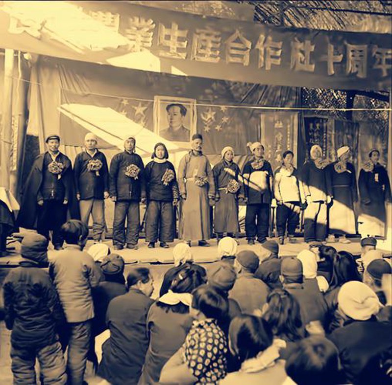 农业种植：绿色希望的田野